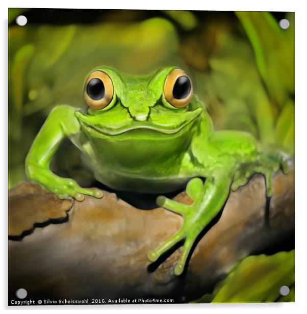 Little frog Acrylic by Silvio Schoisswohl