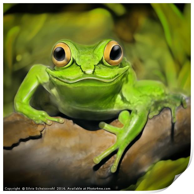 Little frog Print by Silvio Schoisswohl