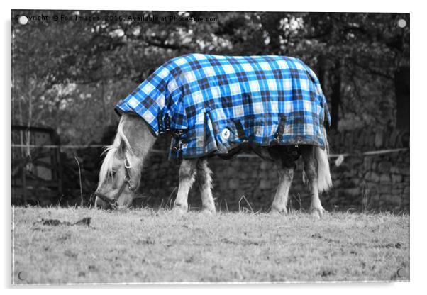 Horse and jacket Acrylic by Derrick Fox Lomax