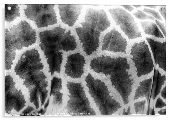 Giraffe Leather Skin Background Texture Acrylic by Radu Bercan
