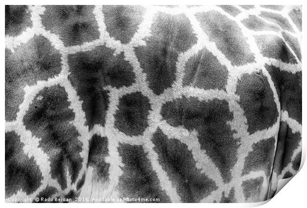 Giraffe Leather Skin Background Texture Print by Radu Bercan