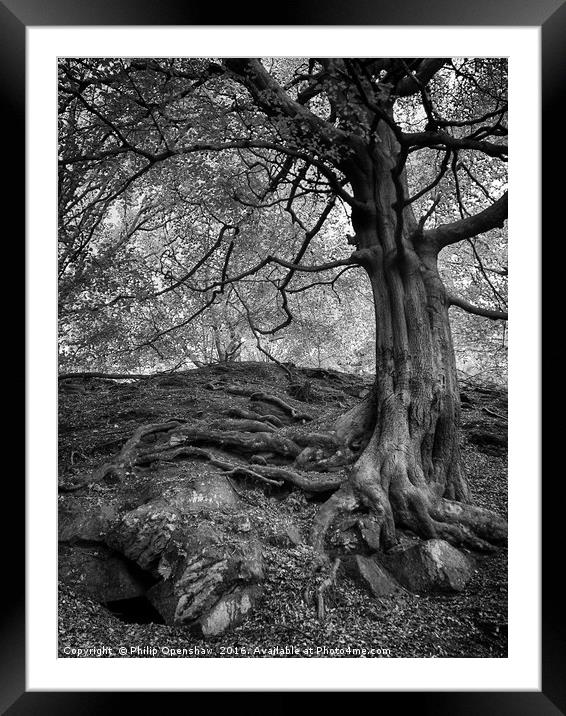 grip Framed Mounted Print by Philip Openshaw