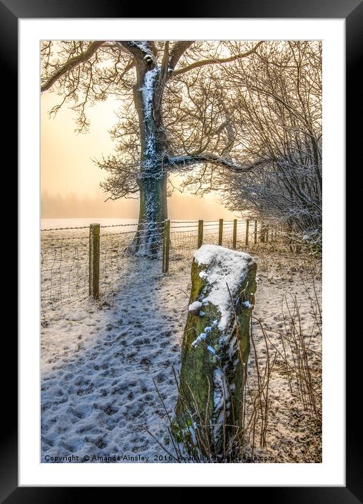 Misty Winters Day Framed Mounted Print by AMANDA AINSLEY