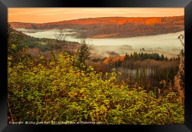 Valley of Mist Framed Print by Lee Hall