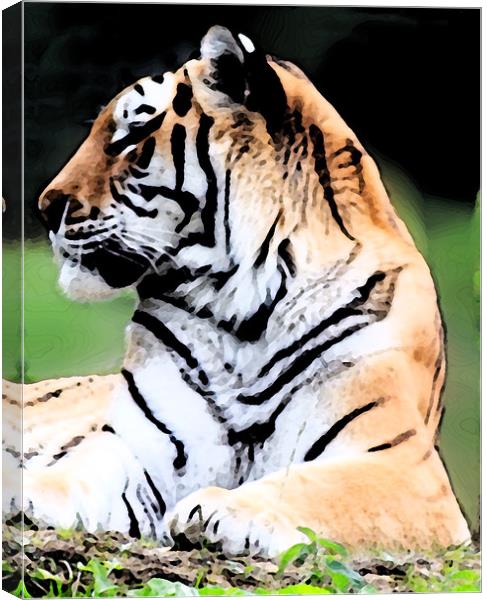 Siberian Tiger Canvas Print by Ian Jeffrey