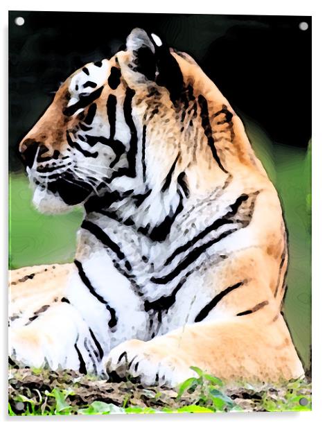 Siberian Tiger Acrylic by Ian Jeffrey