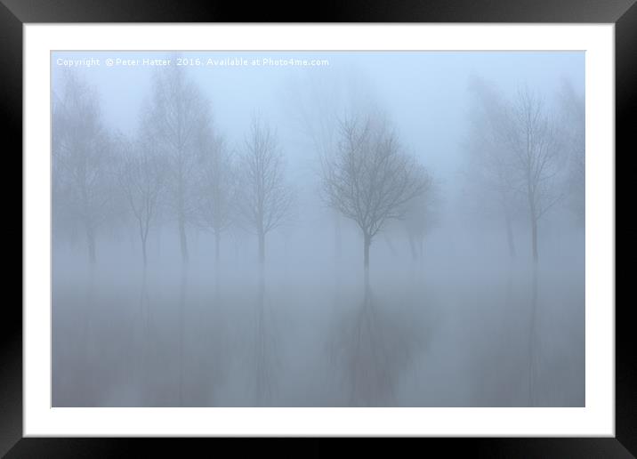 Reflected trees in flood and fog. Framed Mounted Print by Peter Hatter