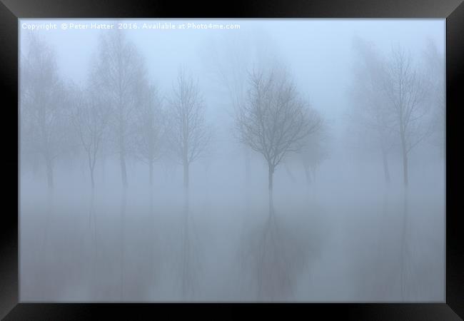 Reflected trees in flood and fog. Framed Print by Peter Hatter