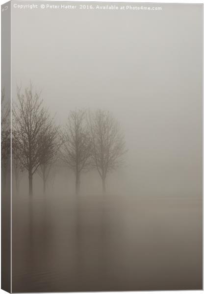 Flooded Trees in fog. Canvas Print by Peter Hatter
