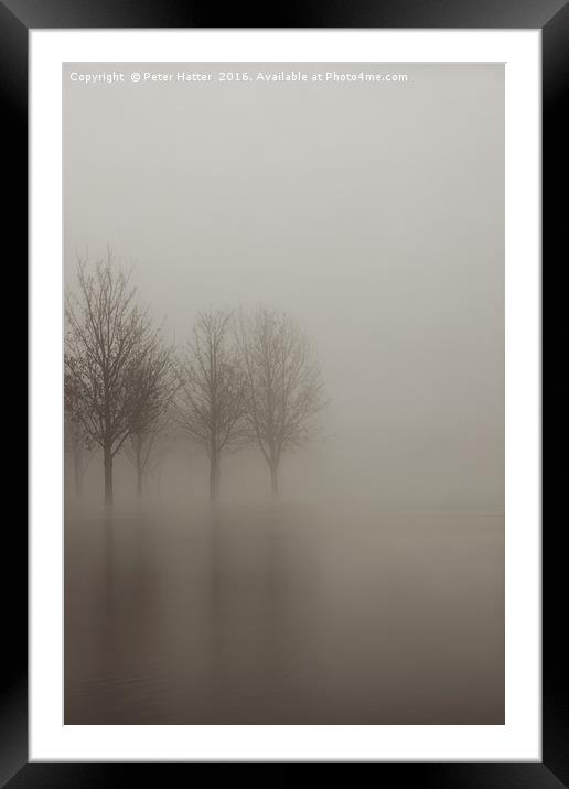 Flooded Trees in fog. Framed Mounted Print by Peter Hatter