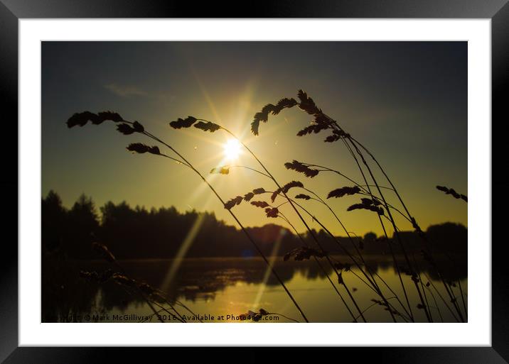 Sunrise Seeds Framed Mounted Print by Mark McGillivray