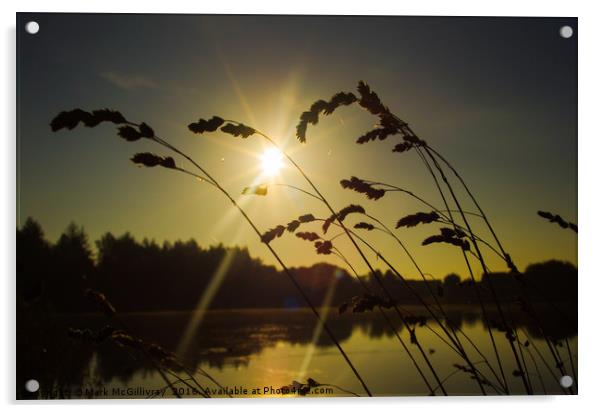 Sunrise Seeds Acrylic by Mark McGillivray