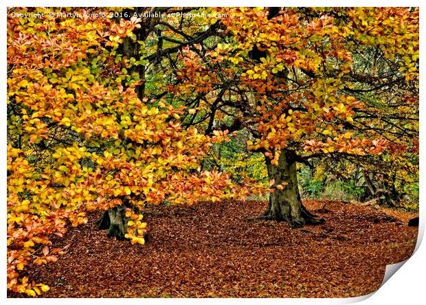 Autumn Trees Print by Martyn Arnold