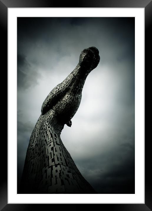 Stretch up your long necks to face the sun... Framed Mounted Print by Douglas McMann