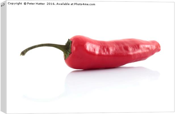 Single red chilli Canvas Print by Peter Hatter