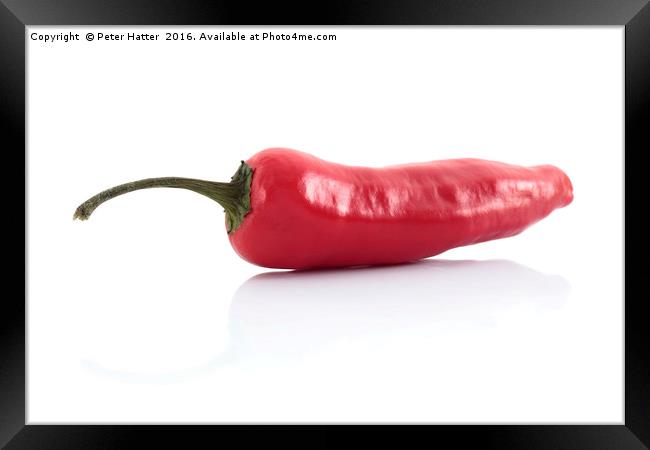 Single red chilli Framed Print by Peter Hatter