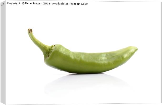 Single green chilli Canvas Print by Peter Hatter