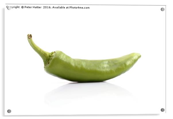 Single green chilli Acrylic by Peter Hatter