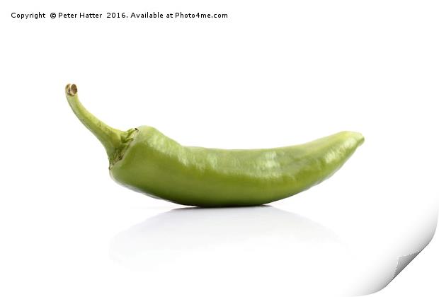 Single green chilli Print by Peter Hatter