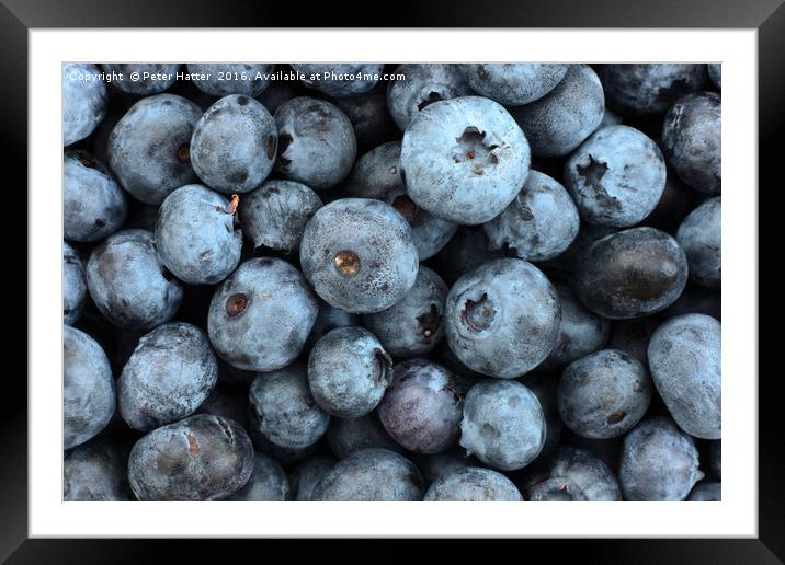 Lots of blueberries close up. Framed Mounted Print by Peter Hatter