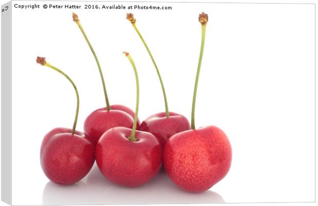 Red cherries Canvas Print by Peter Hatter