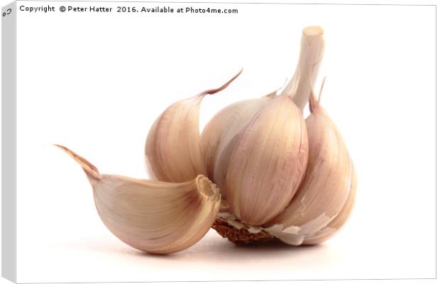 Garlic bulb and cloves. Canvas Print by Peter Hatter