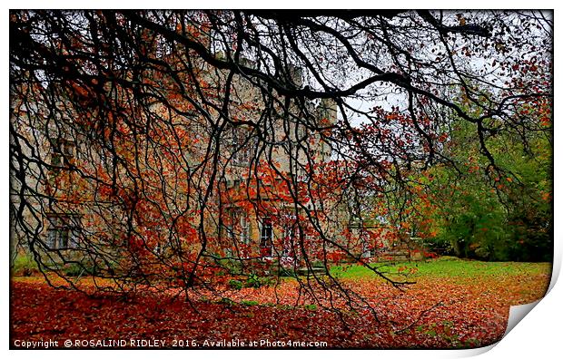 "OTTERBURN CASTLE THROUGH THE AUTUMN LEAVES" Print by ROS RIDLEY