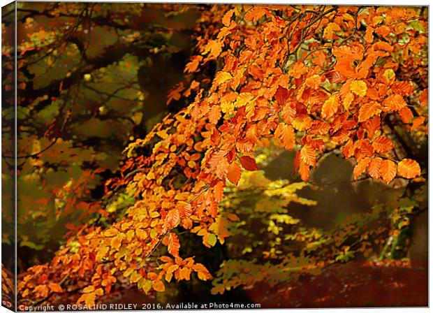 "GOLDEN BRANCHES" Canvas Print by ROS RIDLEY