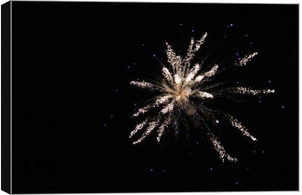 Exploding Firework Canvas Print by J Hartley