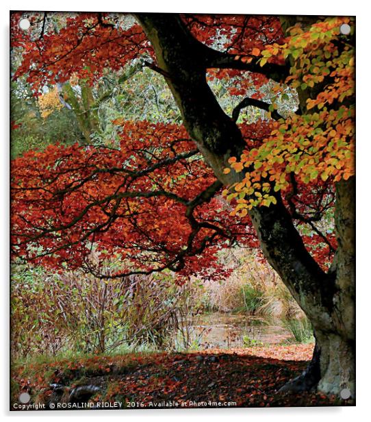 "TREE AT THE LAKE" Acrylic by ROS RIDLEY