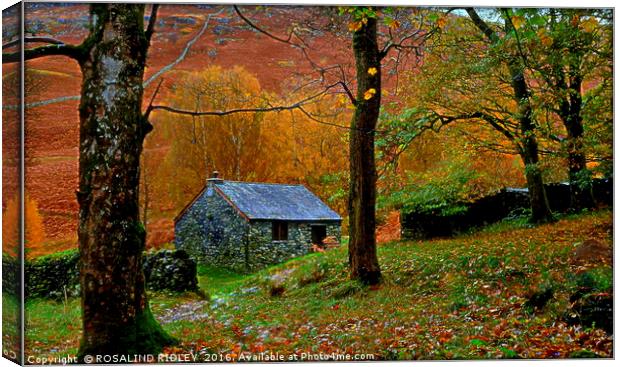 " LITTLE STONE HUT IN THE WOOD" Canvas Print by ROS RIDLEY