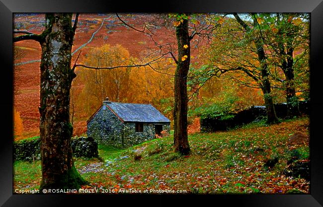 " LITTLE STONE HUT IN THE WOOD" Framed Print by ROS RIDLEY