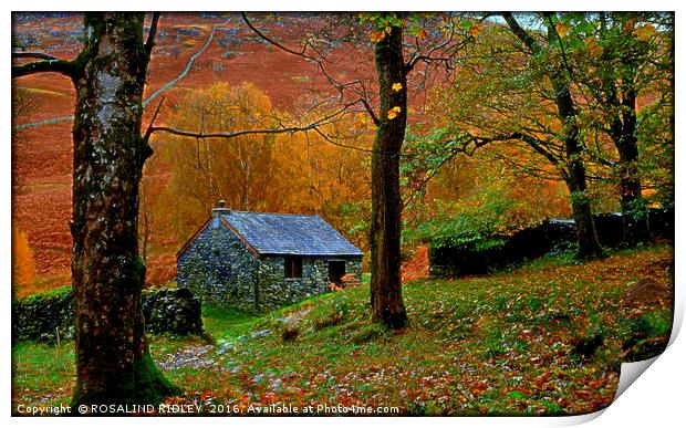 " LITTLE STONE HUT IN THE WOOD" Print by ROS RIDLEY