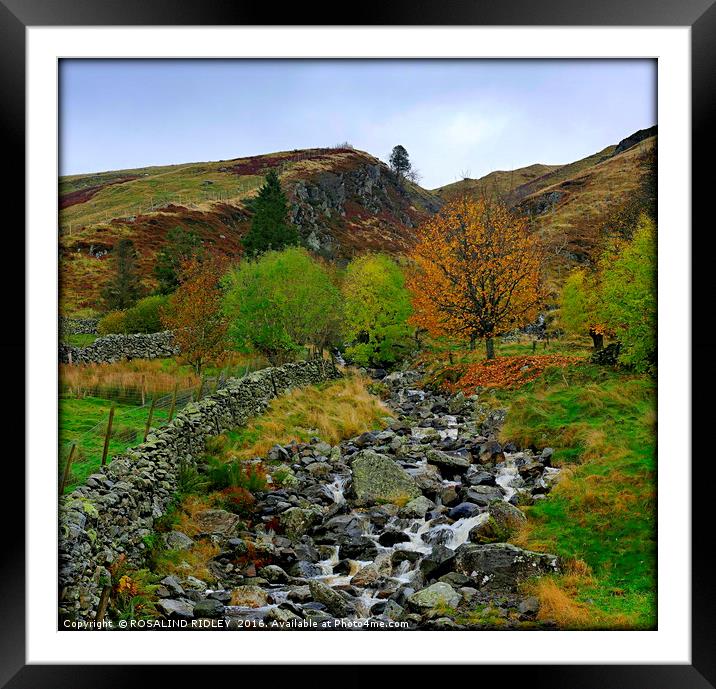 "MOUNTAIN WATERFALL IN THE LAKE DISTRICT" Framed Mounted Print by ROS RIDLEY