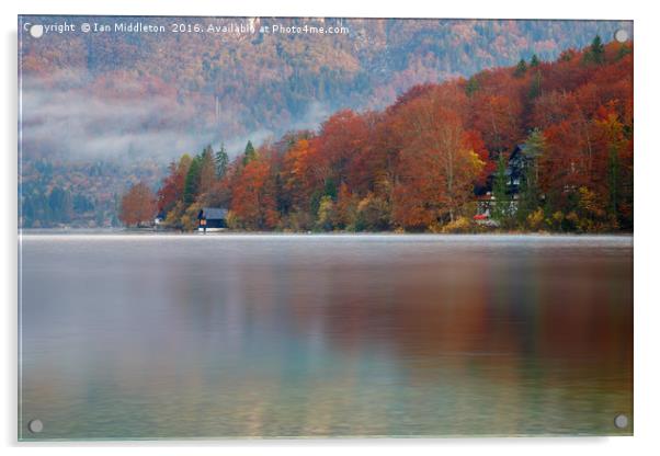 Autumn morning over Lake Bohinj Acrylic by Ian Middleton