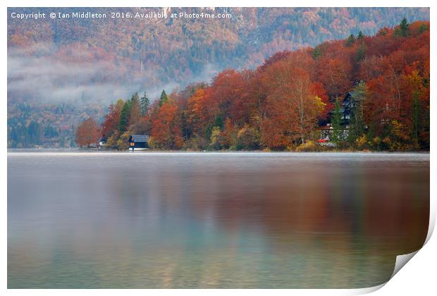 Autumn morning over Lake Bohinj Print by Ian Middleton