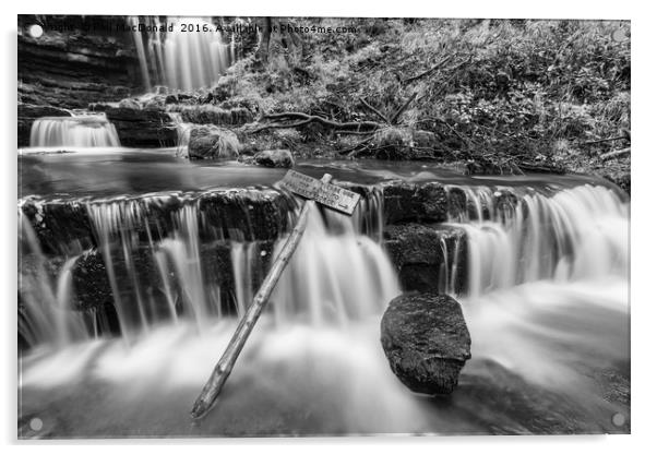 Scaleber Force Waterfall in Autumn (B&W) Acrylic by Phil MacDonald