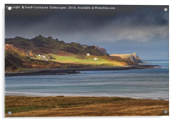 Staffin Headland, Isle Of Skye Acrylic by Sandi-Cockayne ADPS