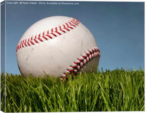 Baseball on the grass. Canvas Print by Peter Hatter