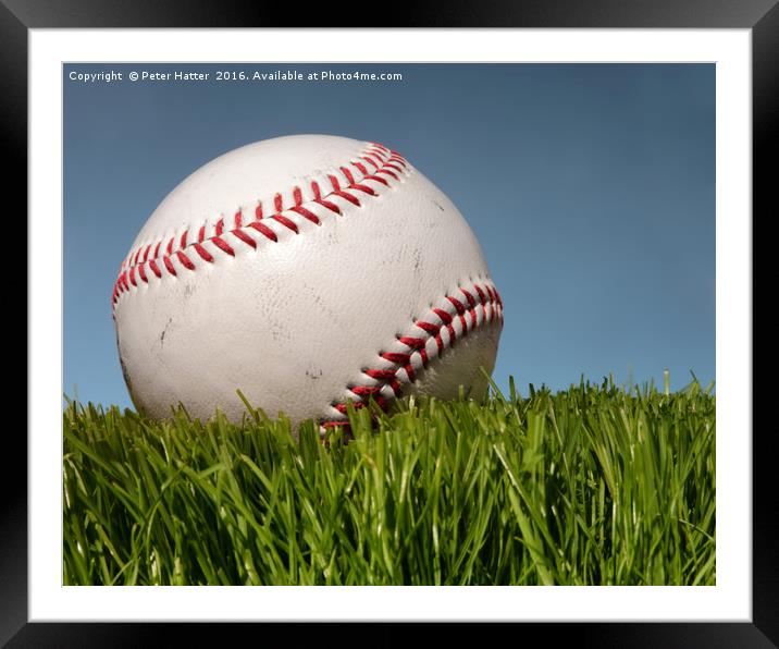 Baseball on the grass. Framed Mounted Print by Peter Hatter