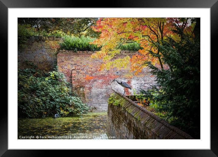 The fisherman Framed Mounted Print by Sara Melhuish