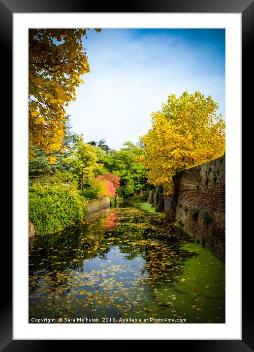 Moat reflections Framed Mounted Print by Sara Melhuish