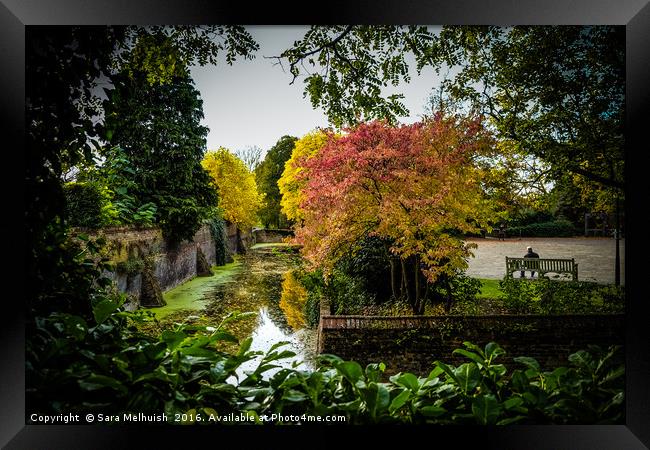 Stillness Framed Print by Sara Melhuish