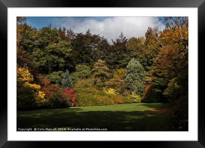 Thorp Perrow in Autumn Framed Mounted Print by Colin Metcalf