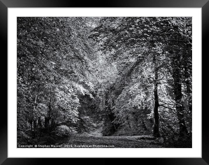 Woodburn Forest Path Framed Mounted Print by Stephen Maxwell