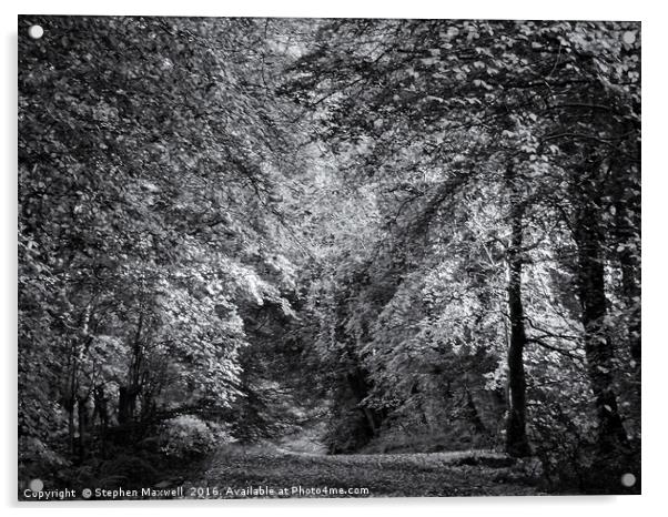 Woodburn Forest Path Acrylic by Stephen Maxwell