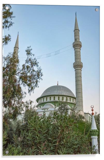 Fatith Mosque in Side Acrylic by Antony McAulay