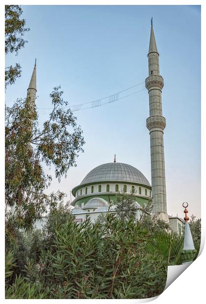 Fatith Mosque in Side Print by Antony McAulay