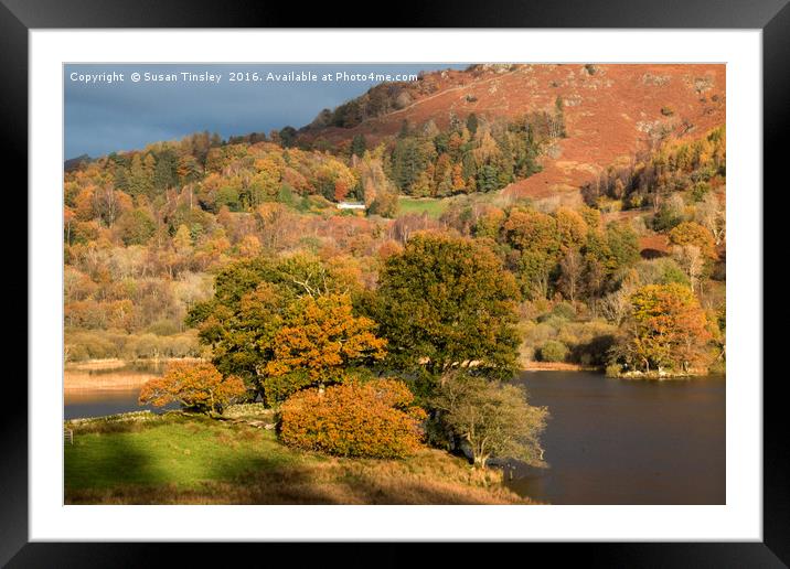 Autumn sun at Rydal Framed Mounted Print by Susan Tinsley
