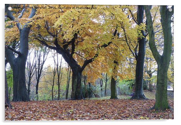 Autumn at Heaton Park.  Acrylic by Lilian Marshall
